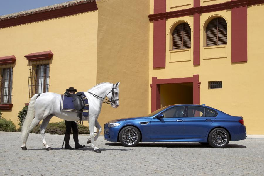  BMW M5 2011 года  (фото 75 из 344)